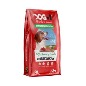 Dog1-mantenimiento
