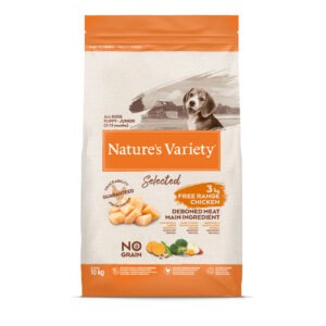 Selected Puppy Pollo